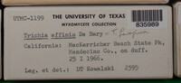 Image Associated With the Occurence
